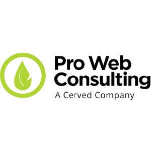 Pro web consulting